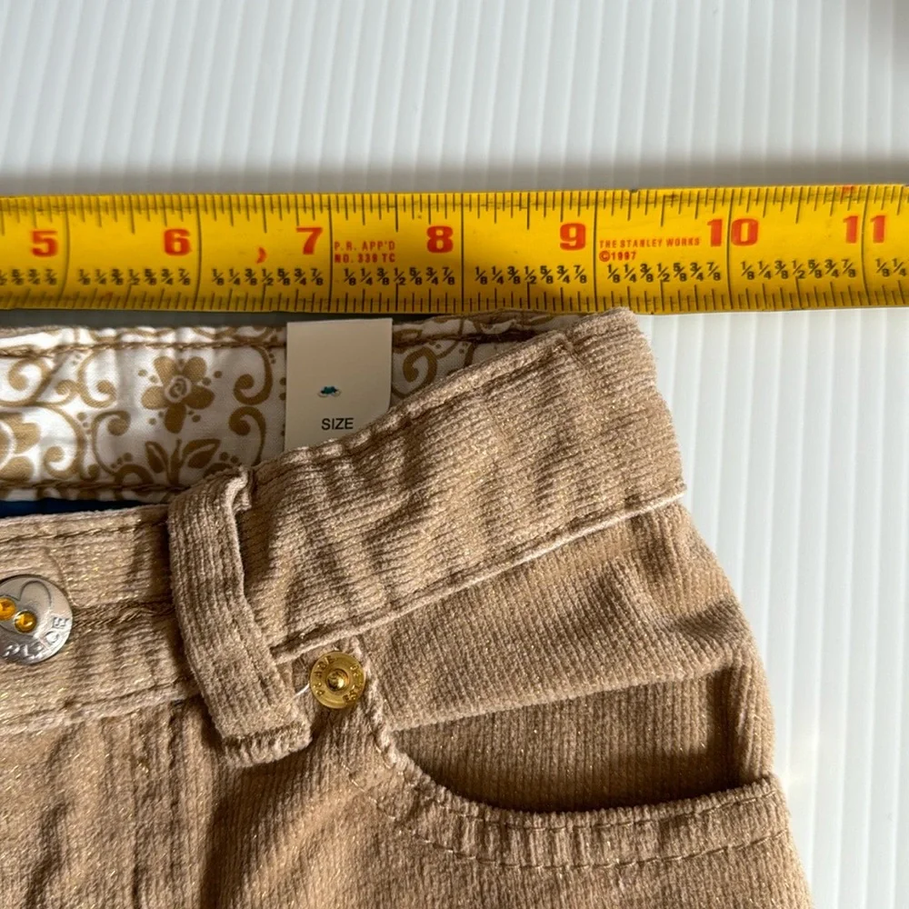 The Children’s Place light tan with gold glitter corduroy pants. Girls size 3T